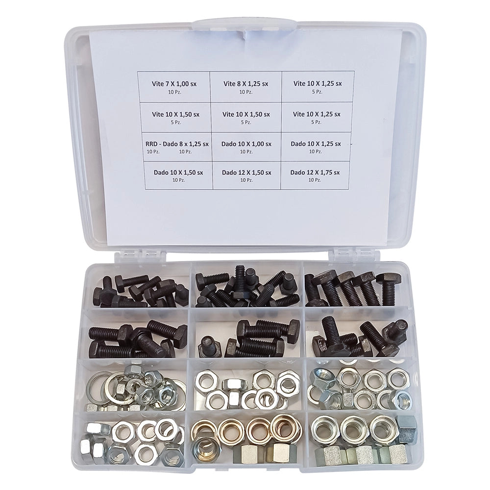 ASSORTIMENTO VITI DADI E RONDELLE totale 110 pz  - BricoGo