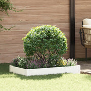 Bordura per Prato 100 x 60 x 20 cm Acciaio Bianco 8008933