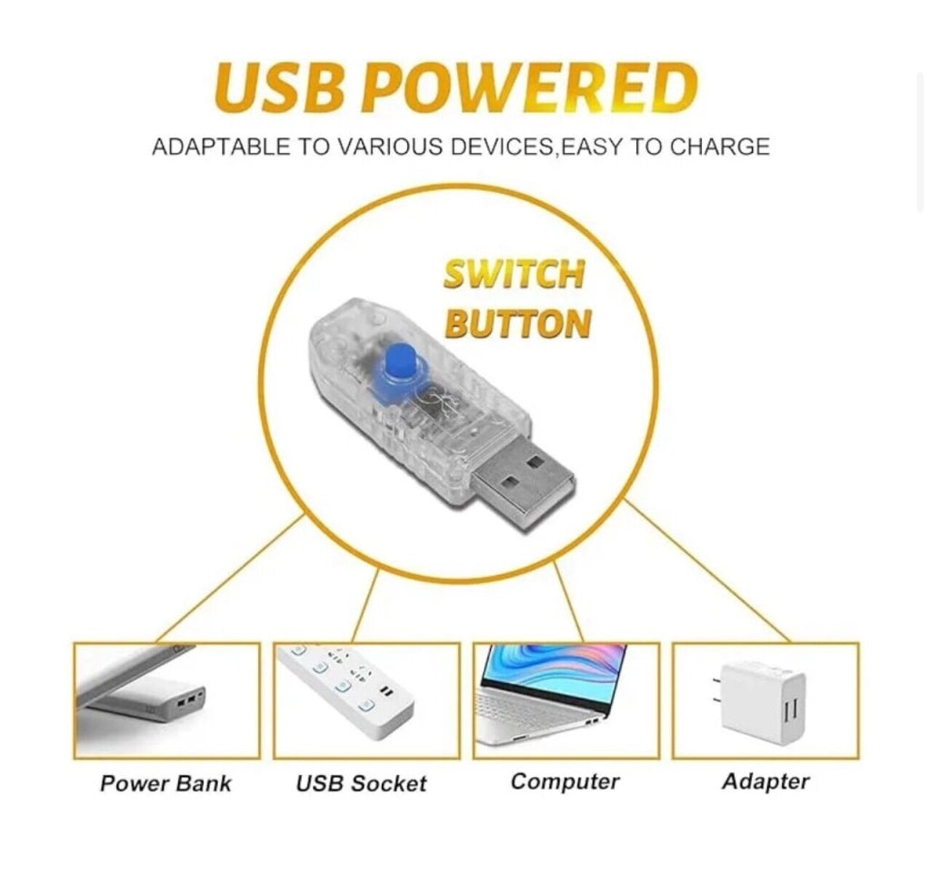 Serie luci Natale a led catena USB Microled luce calda filo rame con Telecomando