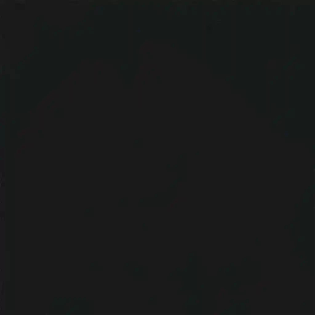 Divano | Divano da soggiorno | Sofa con cuscino 55cm Nero Legno compensato