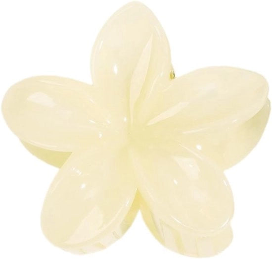 Spilla per capelli antiscivolo in plastica per donne, accessori per capelli, clip per capelli antiscivolo, clip per capelli per donne, accessori per capelli per donne, accessori per capelli per ragazze, per uso quotidiano.