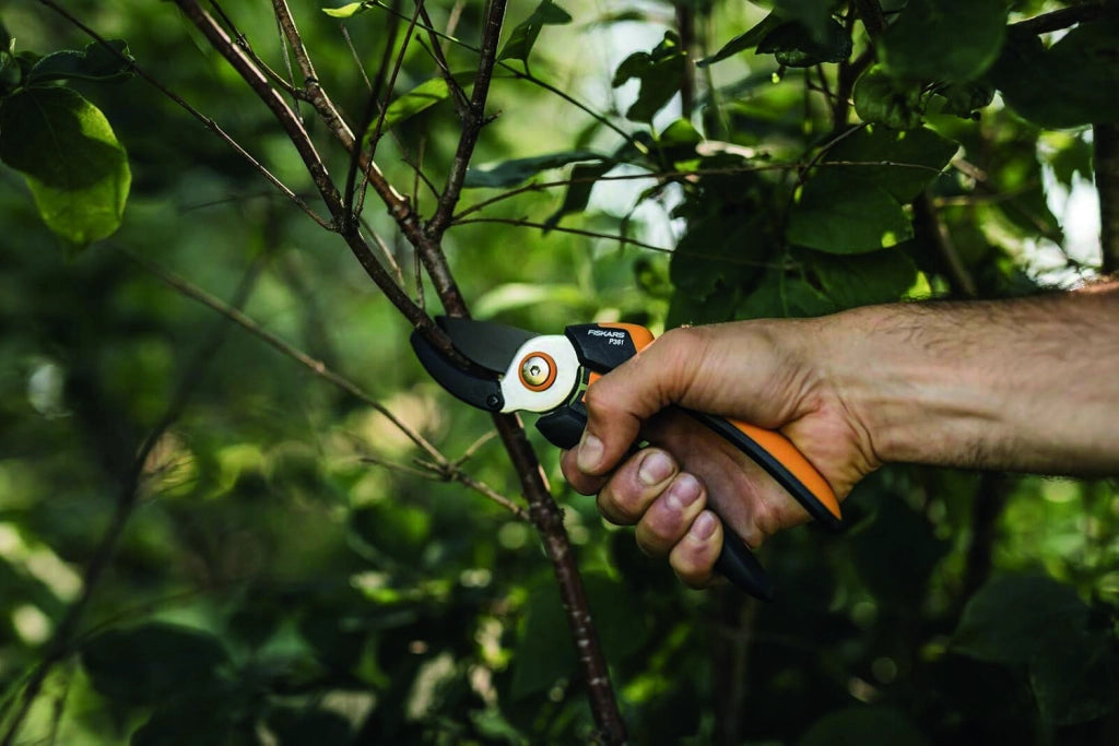 Fiskars FORBICI PER POTATURA SOLID INCUDINE P361  cm.20,5