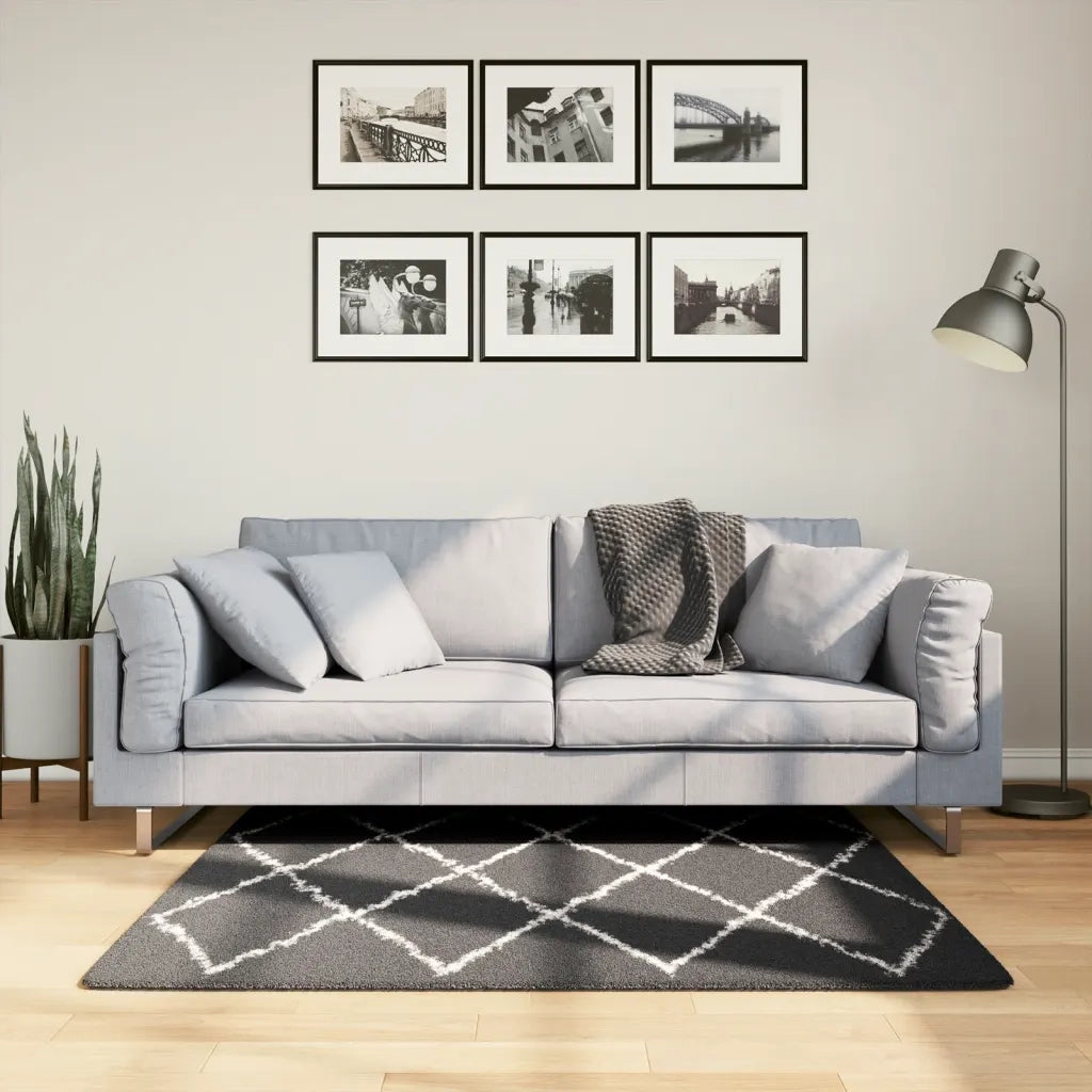 Tappeto Shaggy PAMPLONA a Pelo Lungo Nero e Crema 120x120 cm 375409