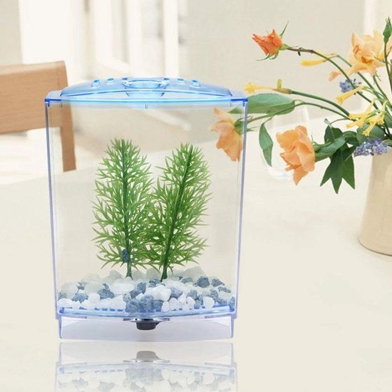 Mini acquario con alta trasparenza - Decorazione per acquario - Pianta acquatica - Acquario in vetro trasparente - Circolazione ottimale dell'aria - Incluso stopper di scarico