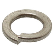 RONDELLA ELASTICA GROWER M 8 - 10 centinaio
