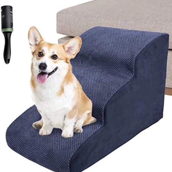Trappola per cani - Trappola per cani per bambini - Ponte di corsa per cani - Blu