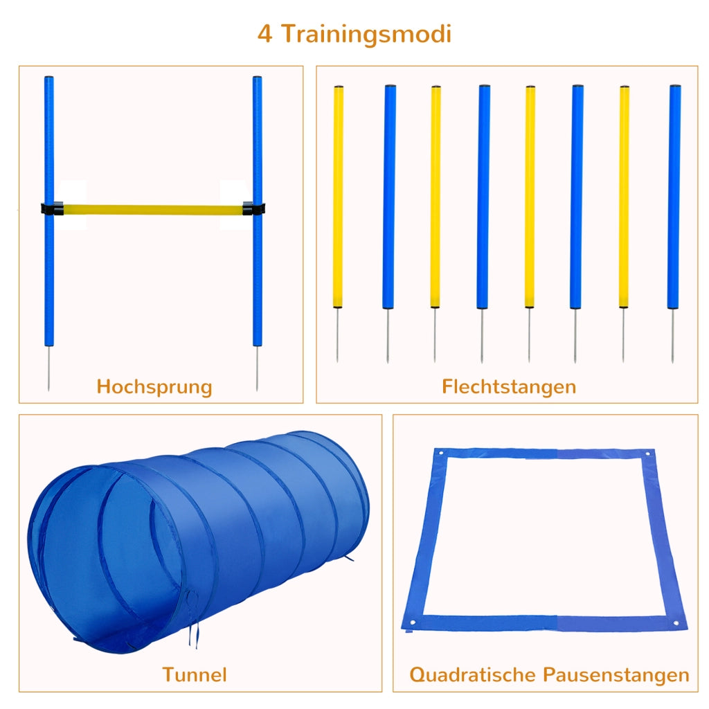 Set Agility per Cani ¨C Minimal ¨C Giallo e Blu