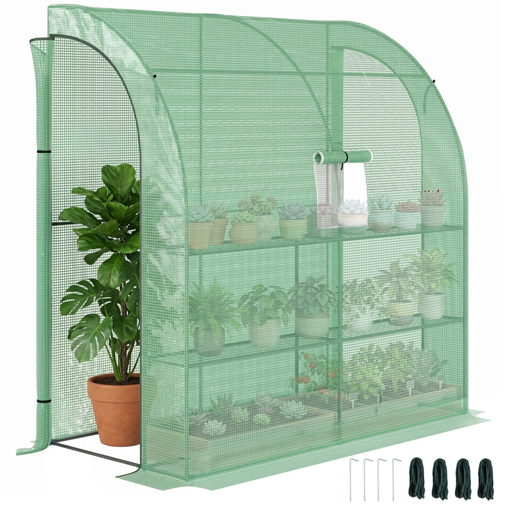 Serra da Giardino con Finestre e Scaffali ¨C Zephmum ¨C Verde 200x100x215 cm