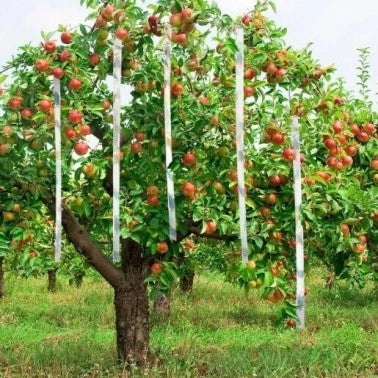 NASTRO SPAVENTAPASSERI mm 70x100 mt
