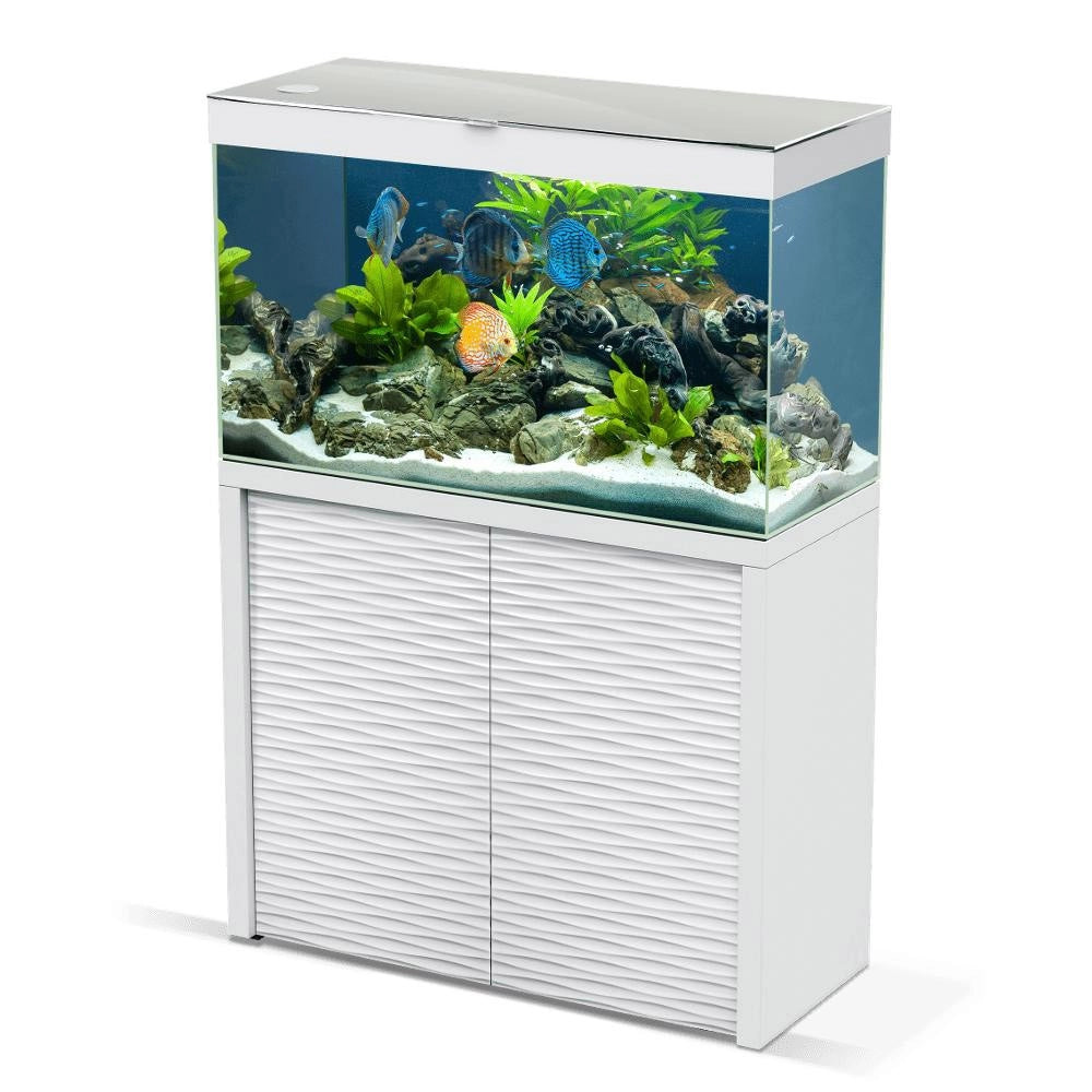Ciano Emotion One 100 LED Completo di Supporto disponibile in due colori Colore: Bianco