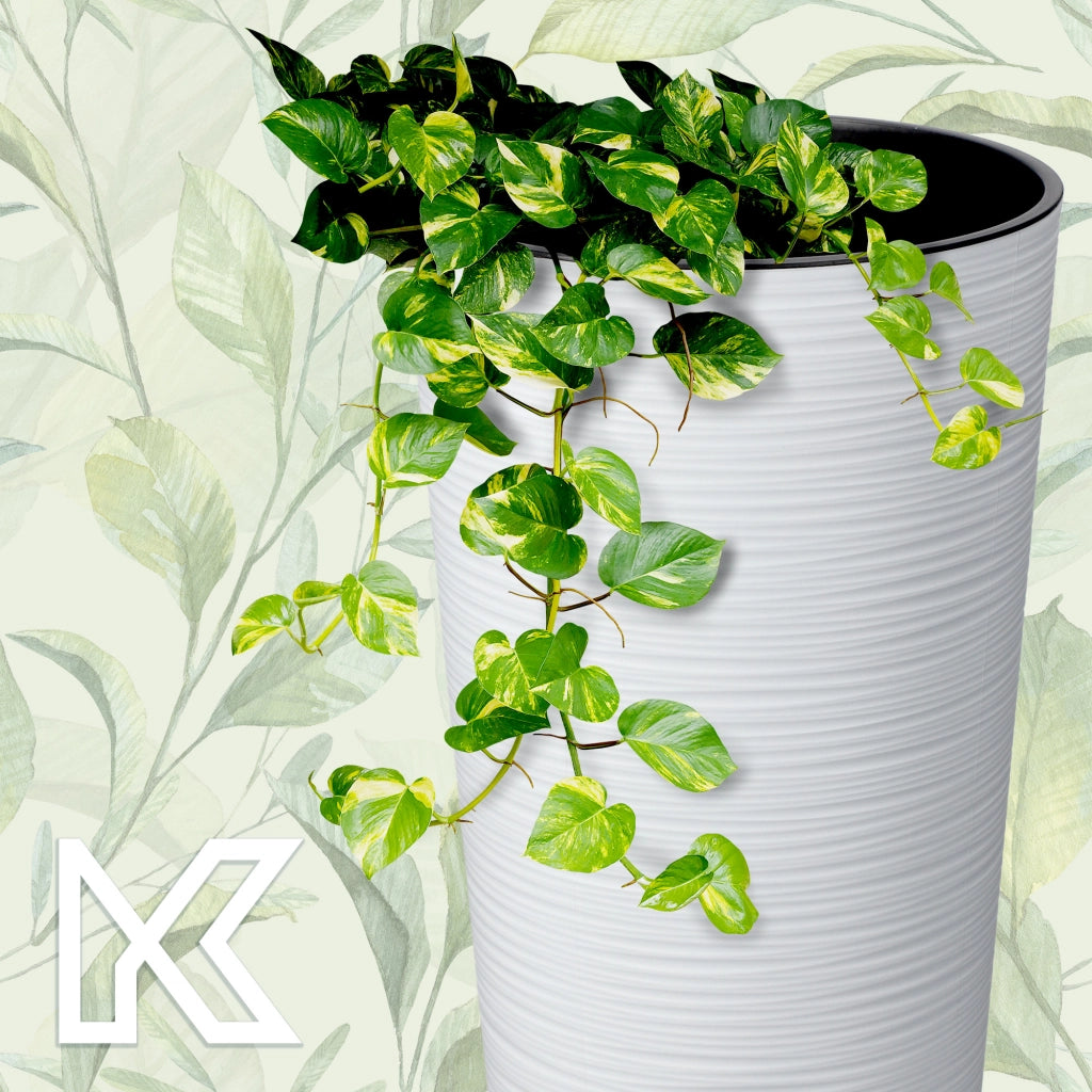 Vaso da fiori KADAX, coprivaso alto 47 cm con inserto, per soggiorno, bianco.
