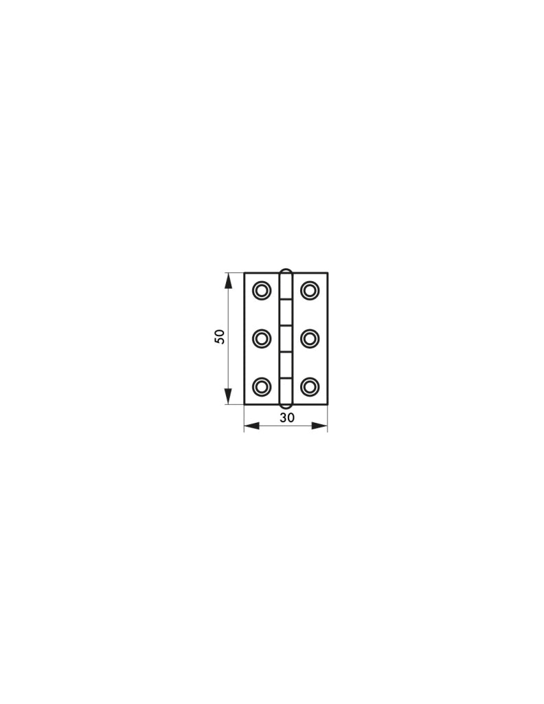 Cerniera per porta 50 x 30 mm, ottone – THIRARD