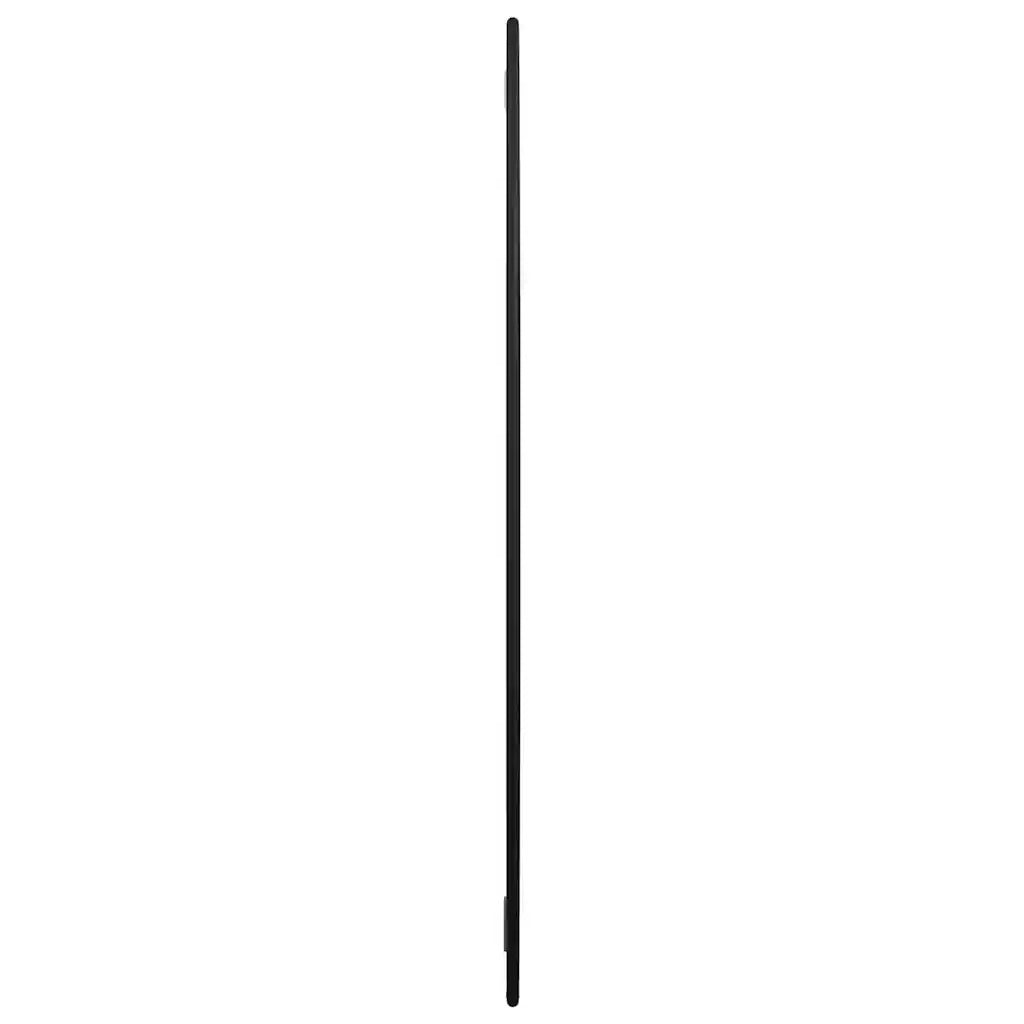 Specchio da Parete Nero Ø 60 cm Rotondo 348187