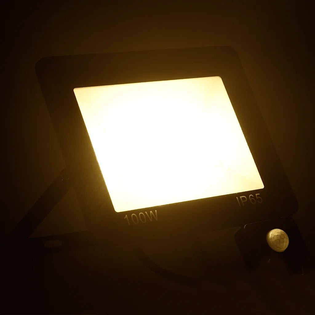 Faretto a LED con Sensore 100 W Bianco Caldo 149627