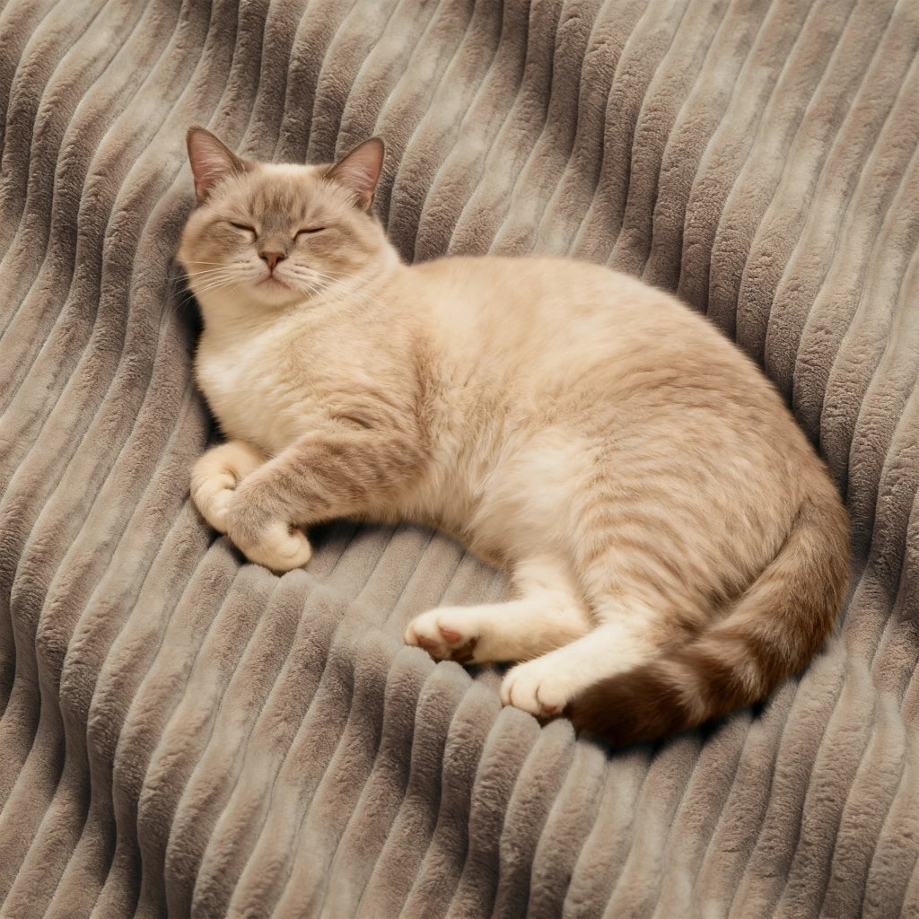 Sofa modulare senza ossa - Zephmum- 4 posti, design antiscivolo, tessuto velluto