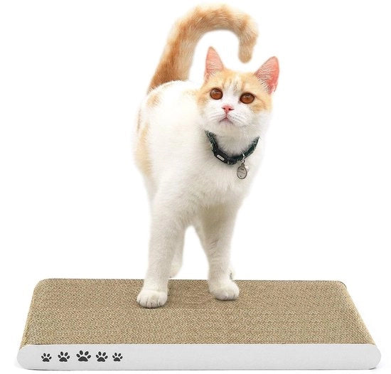 Krabbetta per gatti - Krabbetta per gatti con struttura a grappolo premium, grata per gatti neonati con superficie in materiale resistente e reversibile
