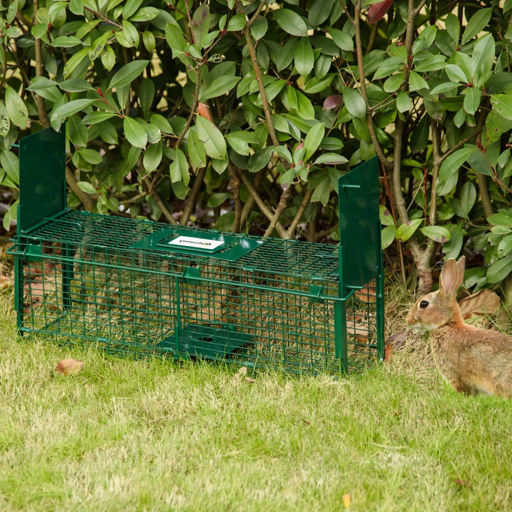Gabbia Cattura Animali Vivi ¨C Xylo ¨C 60x18x20cm Verde Metallo 2 Entrate