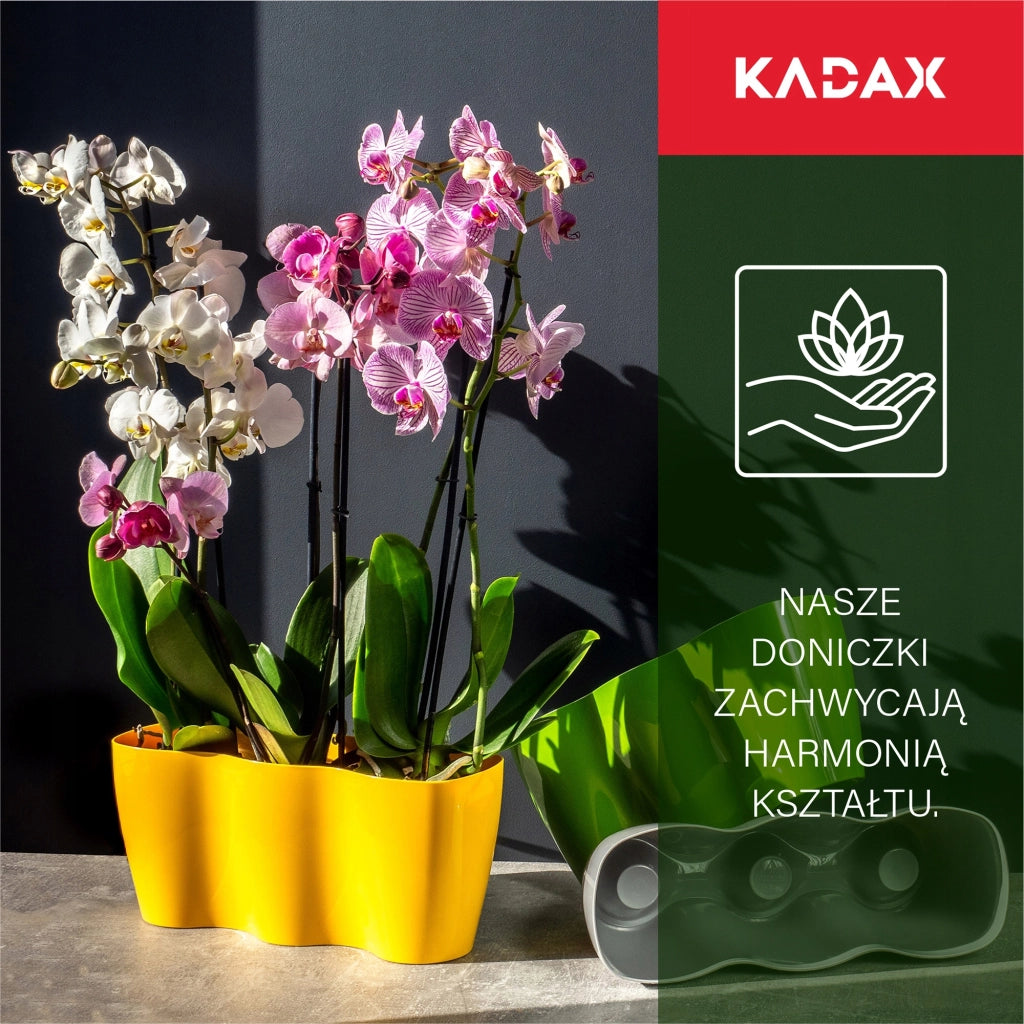 Vaso da fiori KADAX, Vaso da fiori, Vaso da fiori in plastica, Orchidea, 35 cm, Grigio