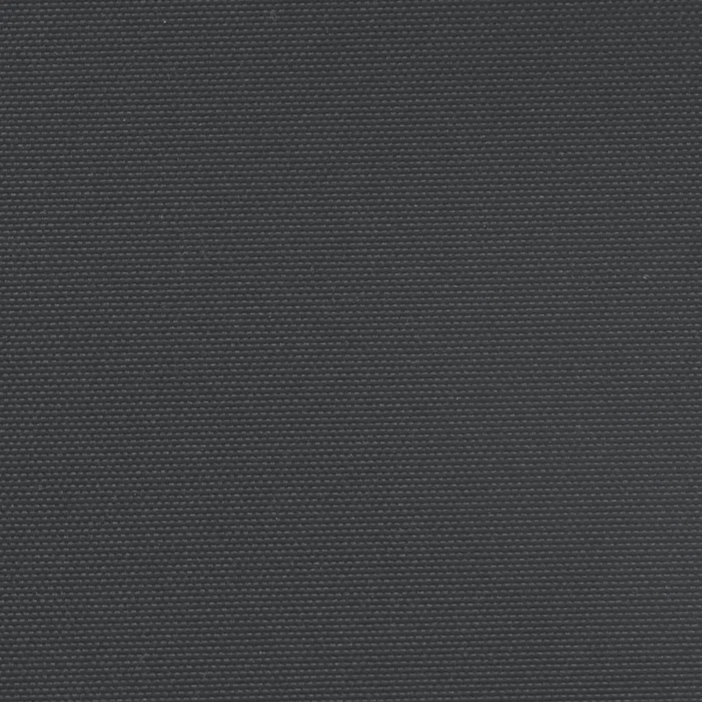 Tenda da Sole Laterale Retrattile Nera 200x600 cm 4004549