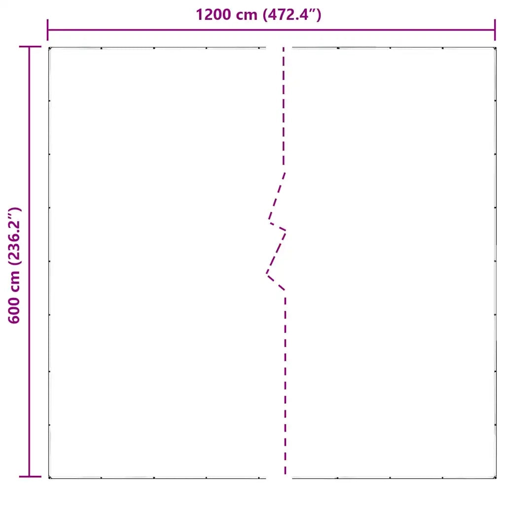 Telone Trasparente con Occhielli 6x12 m in PVC 4018620