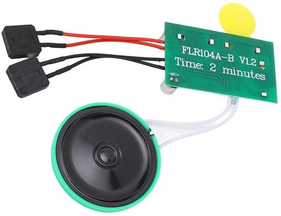 Registrazione Audio 120 Secondi - Carta di Desideri DIY - Scatole di Regalo - Inviti - Funzione di Avvio Facile - Colore Verde - Modulo Audio