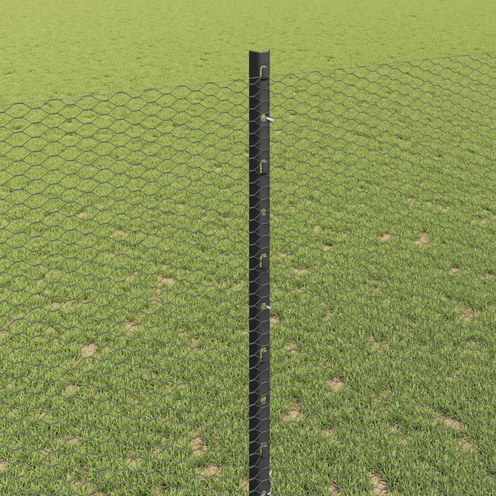 Recinzione da Giardino | Recinzione con Posto Grigio