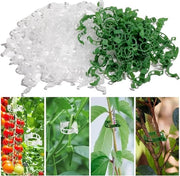 Fissi per pomodoro - 200 pezzi - attrezzature da giardino