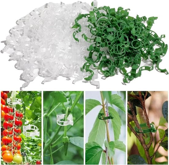 Fissi per pomodoro - 200 pezzi - attrezzature da giardino