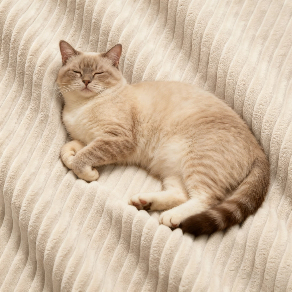 Divano modulare 3 posti - Zephmum - Tessuto velluto a coste beige