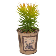 Vaso con cactus artificiale 10x10x22h