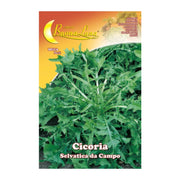 SEMI ORTO CICORIA SELVATICA- HORTUS SEMENTI- 10,0 pz