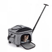 Trasportino per gatti e cani con manico telescopico con tappetino lavabile finestra in rete apribile, Borsa trasportino pieghevole con ruote scorrevoli