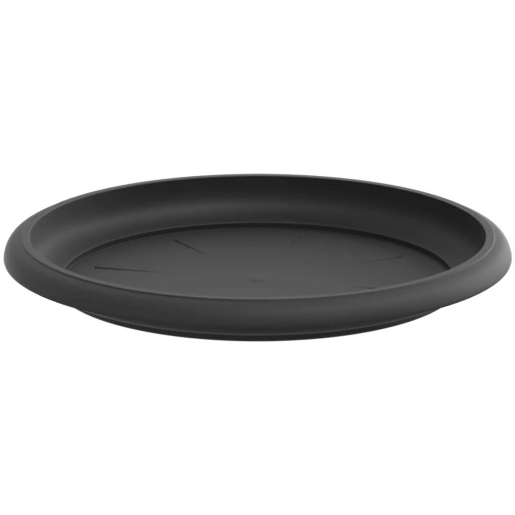 Vasi per Piante 6 pcs Nero Ø 22 x 18 cm Plastica 3403275