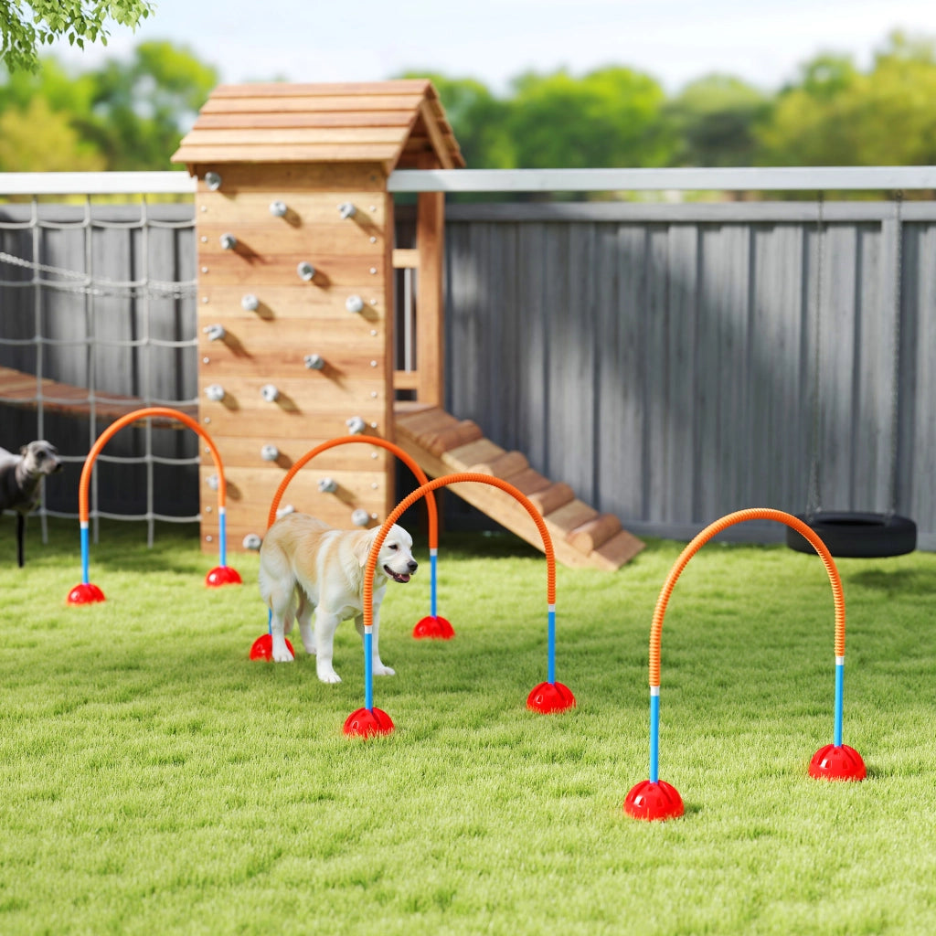Set Attrezzatura Agility per Cani 4 Pezzi ¨C Minimal ¨C Blu