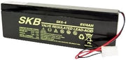 BEGHELLI 6V 4Ah Batteria al Piombo SKB