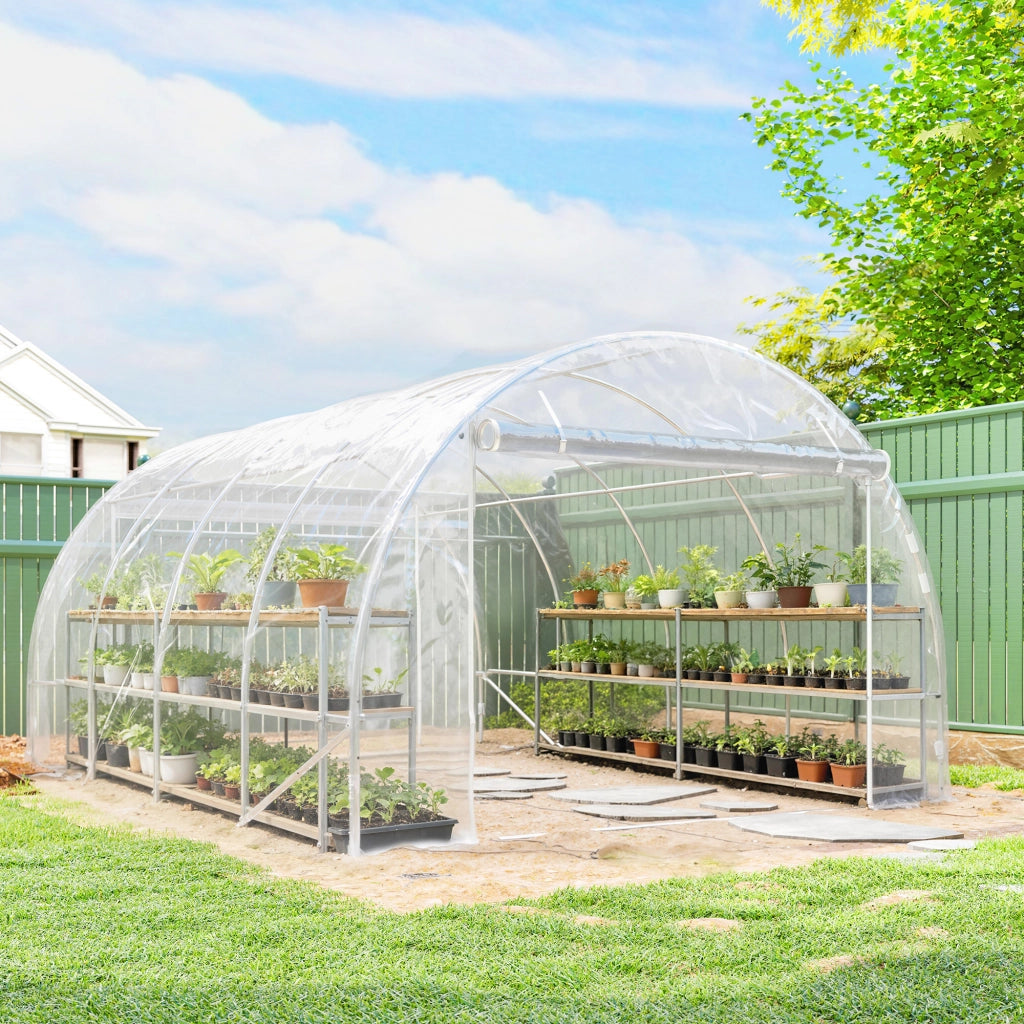Serra Polytunnel ¨C Minimal ¨C Verde Trasparente 2x3x2m