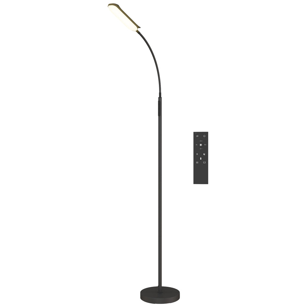 Lampada da terra per soggiorno con telecomando ¨C Zephmum ¨C Nero
