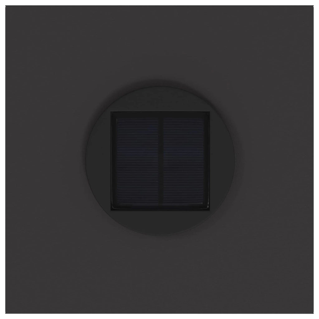 Lucina LED Solare da Percorso 2 pcs Nero 879716