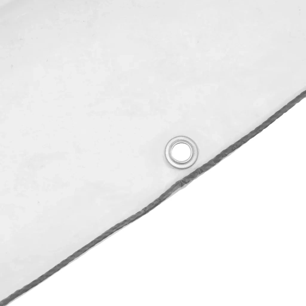 Telone trasparente con occhielli 2x2 m in polietilene 4018503