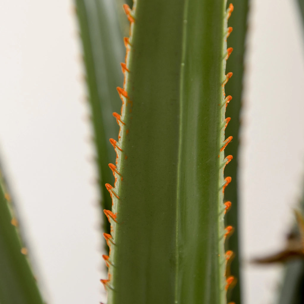 Pianta Artificiale Yucca ¨C Minimal ¨C 190 cm, Vaso PEVA e Cemento