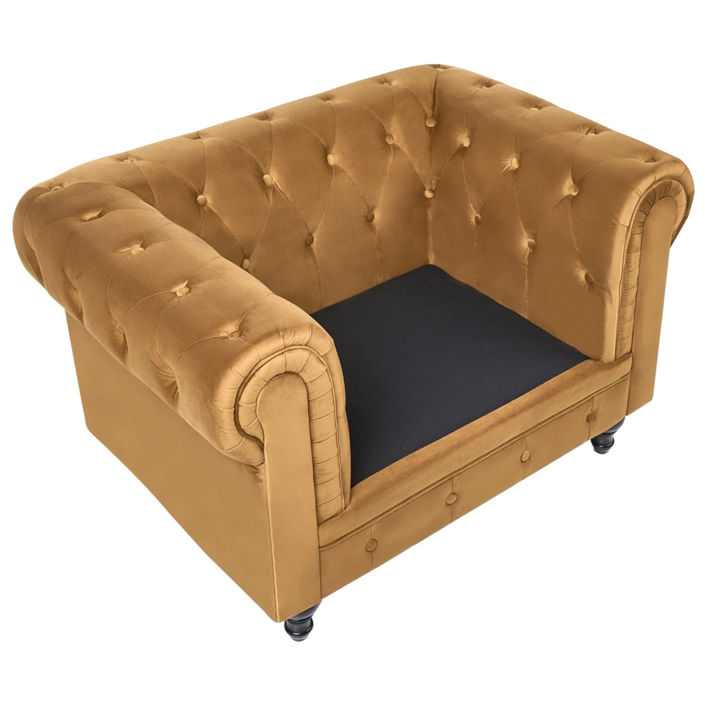 Poltrona Chesterfield Rivestimento in Tessuto Velluto oro Gambe in Legno Scuro Contemporanea