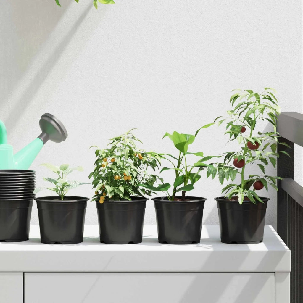 Vaso Rotondo per Fiori 50 pcs Nero Ø 10 x 8 cm Plastica 42029490