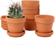 Mini vasi terracotta - vasi per piante con sottopiede - 6 pezzi - 10 x 10 cm