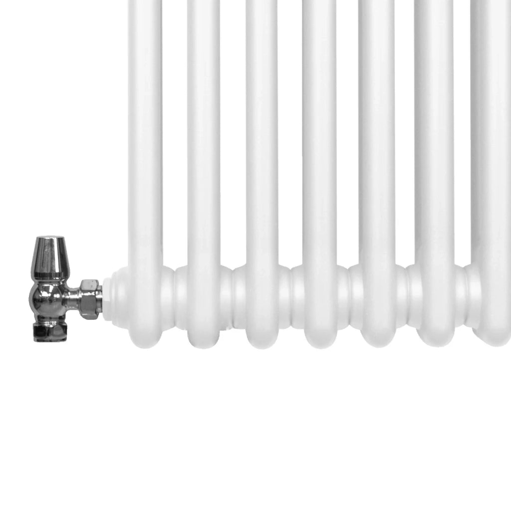 Termosifone Radiatore a 2 colonne per riscaldamento centralizzato Bianco  600 x 1012mm