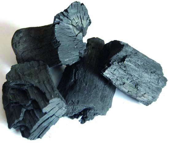 CARBONE DI LEGNA ARGENTINO sacco da kg. 2,5 circa 7.00 pz