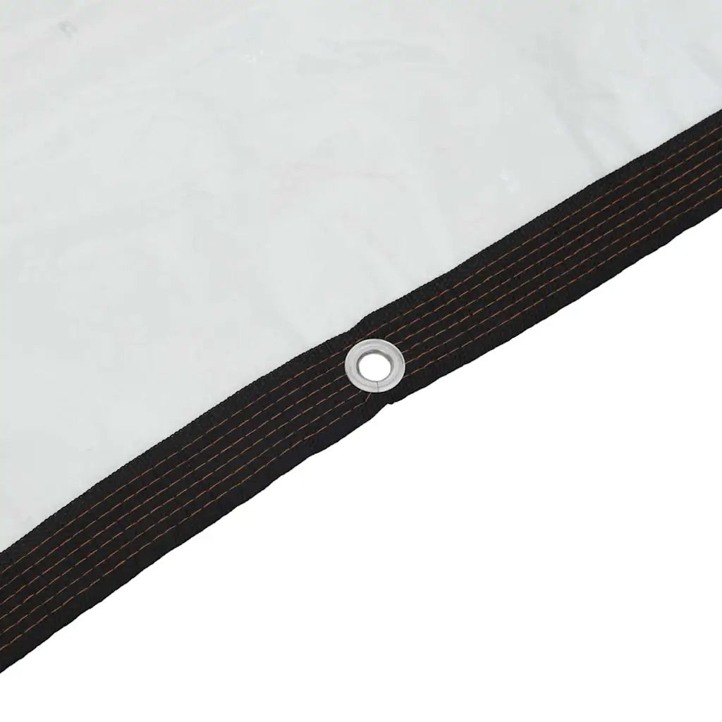 Telone Trasparente con Occhielli 5x6 m in Polietilene 4018569