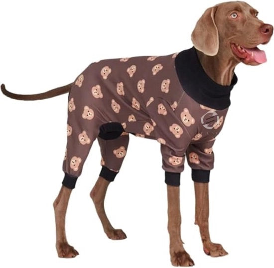Vestiti da Notte per Cani