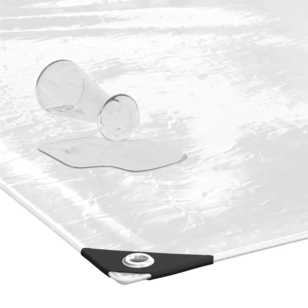 Telone Trasparente con Occhielli 2x4 m in PVC 4018593