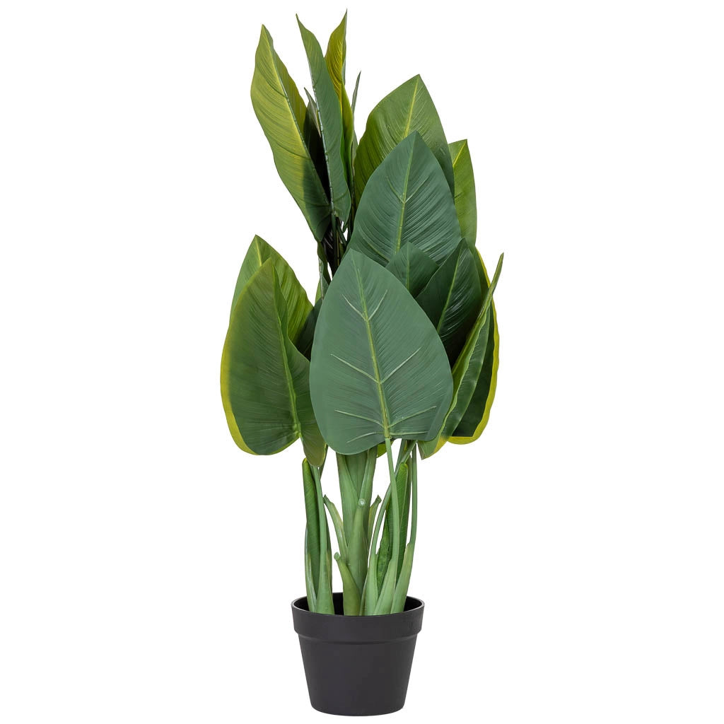 Succulenta decorativa artificiale verde 40x30x88