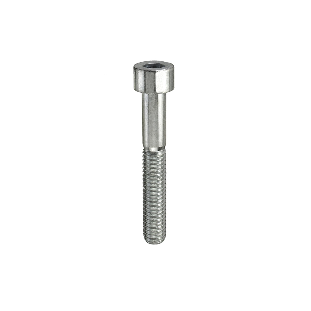 Viti testa cilindrica esagono incassato M5 x 40 - 8 pz.